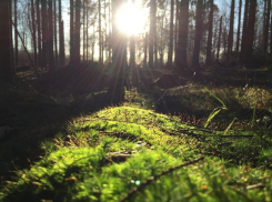 В Волгограде наступило потепление