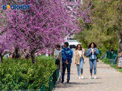 Почему в России может появиться социальный капитал, объяснил член общественной палаты Волгоградской области