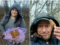 Грибной сезон открыли урожаем «трюфеля для бедных» отчаянные волгоградцы