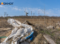 Мамаев курган в Волгограде превратили в свалку: фоторепортаж