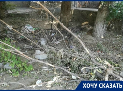 На свалку из пивных стаканов и веток от пивбара «три четверочки» жалуется волгоградка
