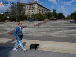 Как изменится жизнь волгоградцев с 1 июня: новые законы вступают в силу