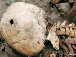 Под Волгоградом обнаружены человеческие останки