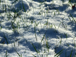 Гидрометцентр: атлантическое тепло придёт в Волгоградскую область в первую неделю весны