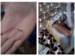 Конфету с заостренным куском железа едва не съела волгоградка