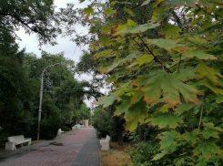 Идеальную погоду для пикников и прогулок пообещали волгоградцам синоптики 12 сентября