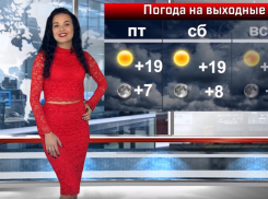 Погода балует: что ожидать волгоградцам на выходных
