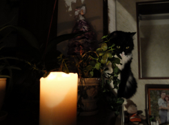 В трёх районах Волгограда 15 ноября отключат электричество