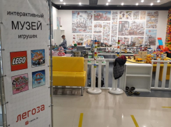 «Есть государственный заказ - закроют»: в Волгограде детский музей игрушек пытается выжить в борьбе с Роспотребнадзором