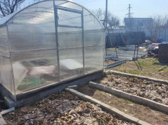 Волгоградский урожай вновь окажется во власти заморозков 