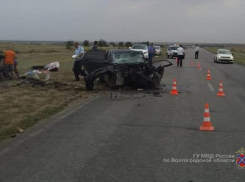 Появились подробности жуткого ДТП в Волгоградской области, в котором 2 погибли и 5 пострадали