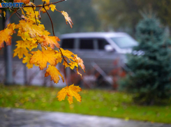 Облачно с прояснениями и +2 градуса: погода 31 октября в Волгограде