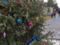 Тепло и туманно будет под Старый Новый год в Волгограде 