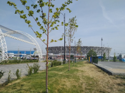 Стали известны зарплаты ушедших в чиновники знаменитых спортсменов Волгограда