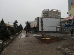 В Волжском ищут вандалов, варварски спиливших многолетнюю ель в центре города