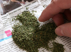 Двоих братьев из Волгограда приговорили к 19 годам тюрьмы за сбыт марихуаны