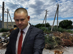 План борьбы с помоями за 14,5 млрд разработали волгоградские чиновники