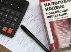 Интернет-провайдер на почти полной невыплате налогов в Волгограде заработал 17 млн рублей 