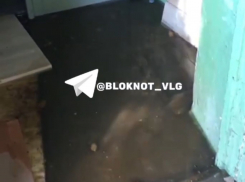 Бурлящий ручей с фекалиями появился в многоквартирном доме Волгограда – видео