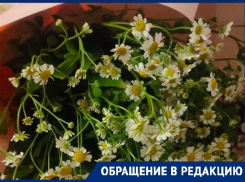 Хилый букетик и 3 часа ожидания: онлайн-доставка испортила День матери волгоградке 