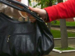 Две волгоградки-рецидивистки и их подруга ограбили местную жительницу