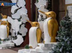 Волгоградцам в субботу советуют сидеть дома: северный ветер и -15º