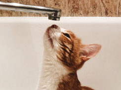 Район Волгограда останется без горячей воды на три дня