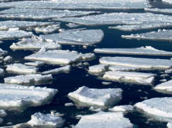 Пропавшего три месяца назад жителя Волгоградской области нашли в реке