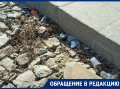 «Это катастрофа»: набережная с самым высоким памятником Ленину в мире погрязла в мусоре