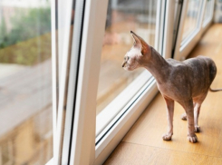 Оконный вопрос 