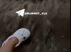 «Лови волну» по-волгоградски: последствия мощного ливня попали на видео 