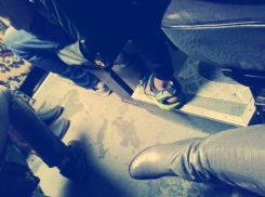 Волгоградцев поразил парень, расхаживающий в сандалиях в конце октября