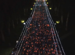 Шествие волгоградцев со «свечами памяти» сняли с квадрокоптера