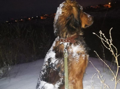 Второй день нового года в Волгограде будет божественно прекрасным