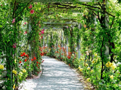 Памятники за 13 миллионов рублей появятся в парке Волгоградской области