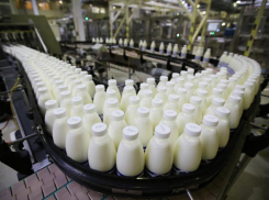 Механика придавило грузом на молокозаводе под Волгоградом