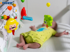 Сартхак,  Джувайрия и Радаслава родились в январе в Волгоградской области