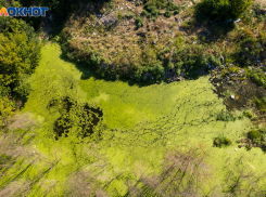 Битва за «гробовые» выплаты, рухнувшая крыша рынка, открытие «Вкусно - и точка»: главное в Волгограде 20 июля