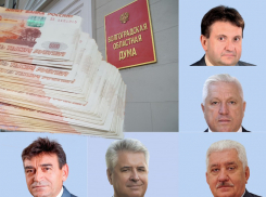 Топ-5 самых богатых депутатов Волгоградской облдумы: 285 млн рублей на пятерых