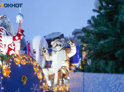 Жители Волгоградской области не намерены «пускать» Роспотребнадзор за свой новогодний стол