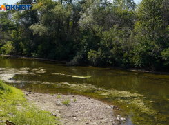 Труп волгоградца нашли у пруда после посиделок с друзьями 