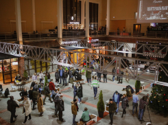 «Аллея» на Центральном рынке Волгограда снова удивила