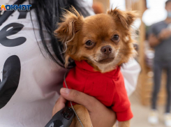 Заморозки и геомагнитная буря: погода в Волгоградской области на 17 сентября