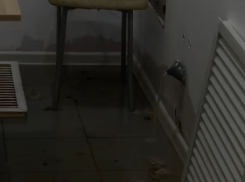 Подвальное помещение с популярным маркетплейсом затопило фекалиями в Волгограде