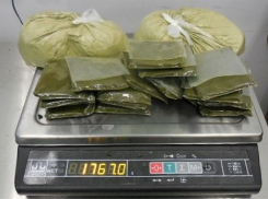 Таможенники изъяли более 117 кг насвая у пассажиров в аэропортах Волгограда и Астрахани