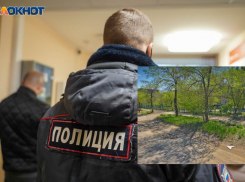 Под Волгоградом обсуждают задержание эксгибициониста возле школы №16