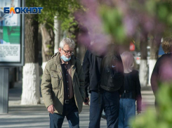 Днем до +23: жаркий понедельник ждет волгоградцев