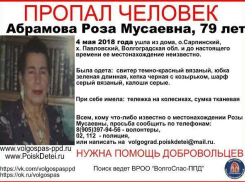При загадочных обстоятельствах исчезла жительница волгоградского острова