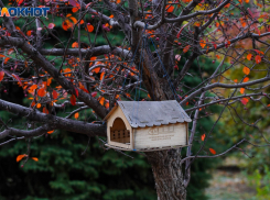 В Волгограде немного потеплеет 