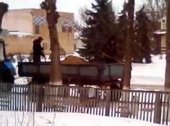 Неоднозначный способ обработки дорог сняли на видео в Волгоградской области